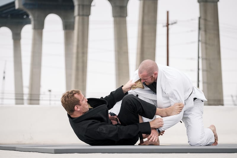 Martial Arts Jiu-Jitsu Fight